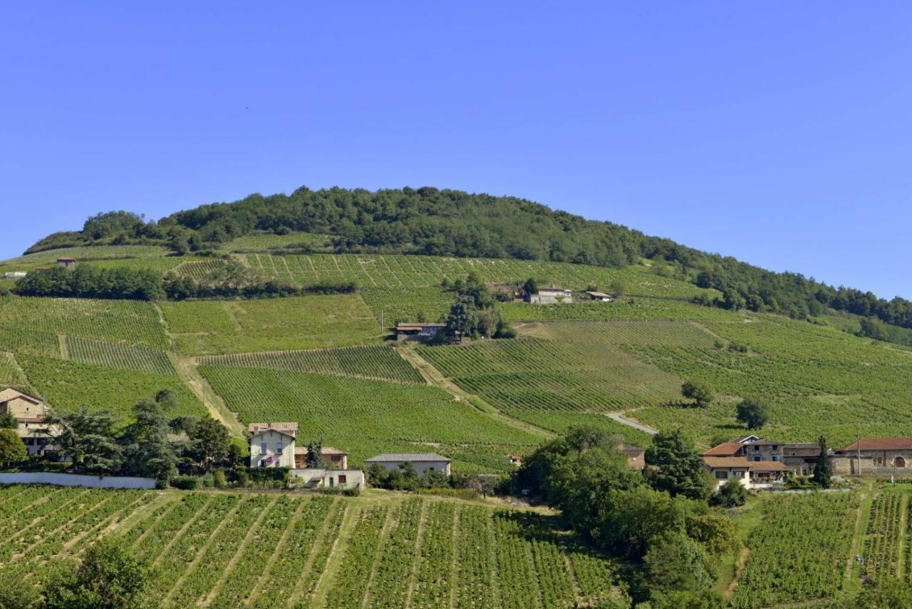 Appartement Cosy Au Coeur Du Beaujolais Saint-Lager Экстерьер фото